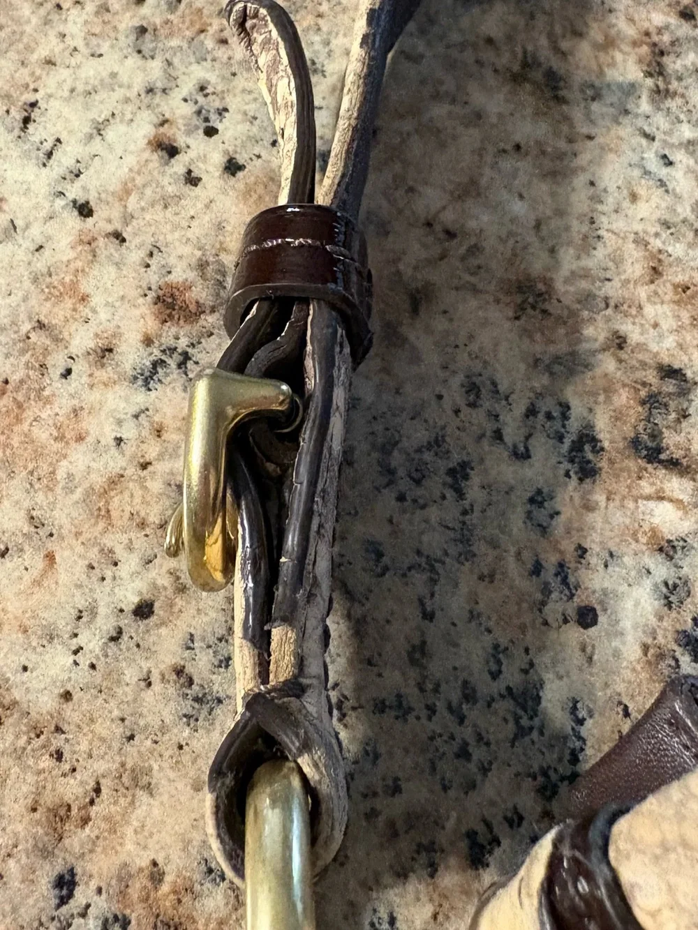 Coach Colette Signature Sateen and Python Hobo Bag